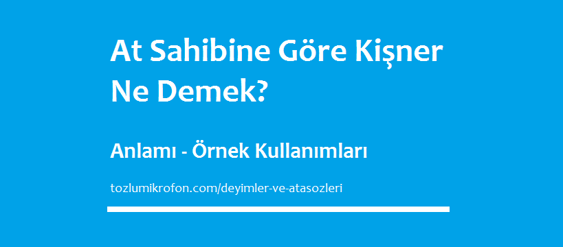 at sahibine gore kisner ne demek tozlu mikrofon