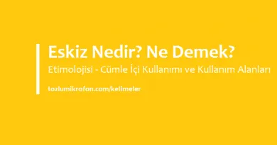 Tamahkar Nedir Ne Demek Tozlu Mikrofon